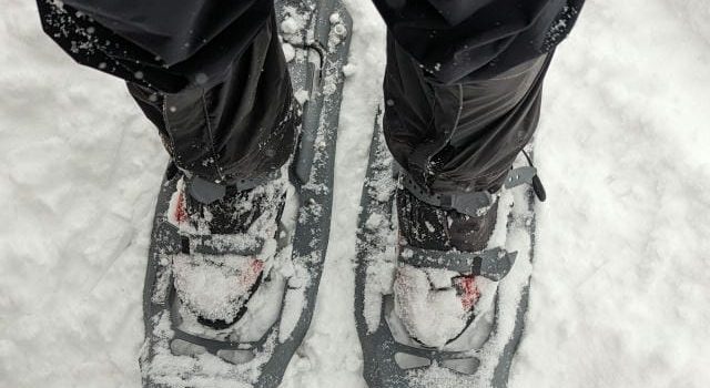 新幹線JRで楽しむ雪山の旅