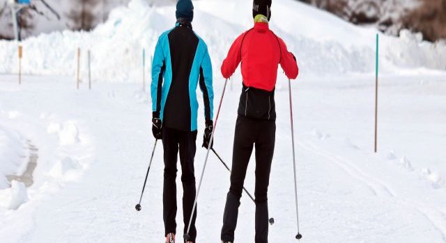 スキーのツアーの選び方やチェックポイントを把握する