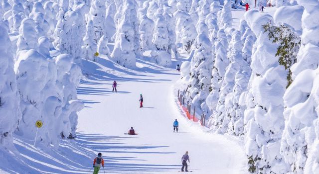 新幹線JRで楽しむ冬のスキー旅行