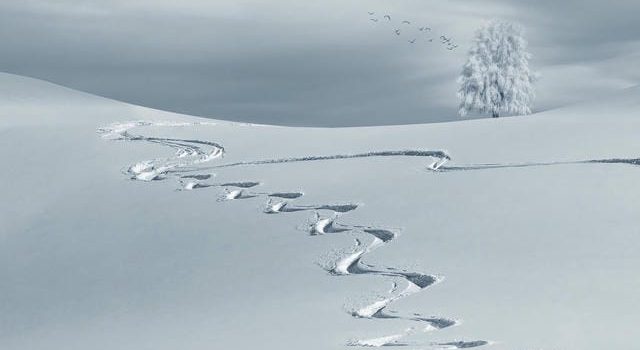 新幹線JRで楽しむスキー旅行の魅力